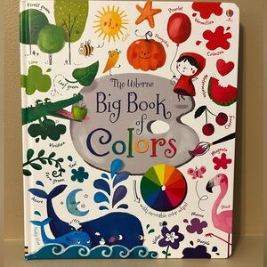 The Usborne Big Book of Colors